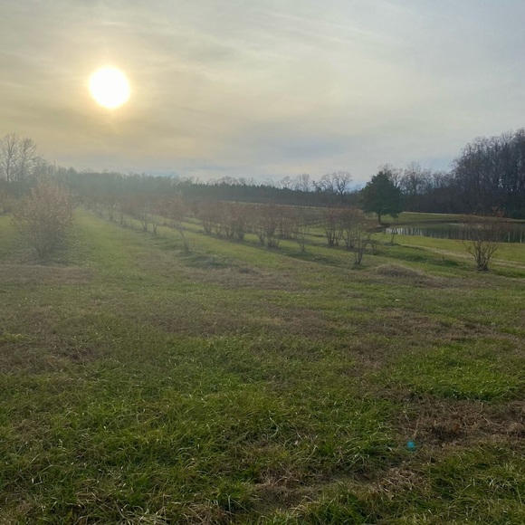 Meet your Posher, Devon 🔮 🪄 🌙 ✌🏼 ☮️ - Picture 10 of 15